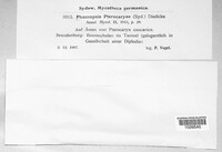 Image Associated With the Occurence